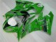 Best 2009-2012 Green Black LeoVince Kawasaki ZX6R Motorcycle Fairing Kit Canada